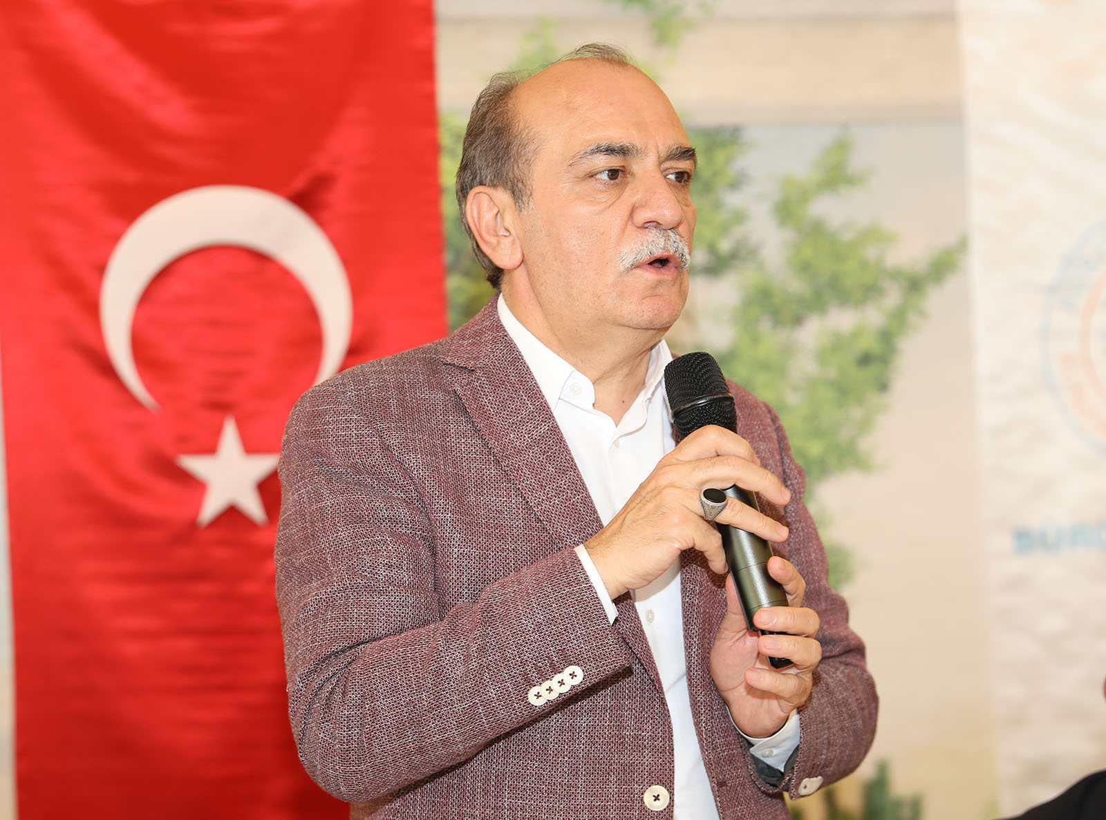 tokat_3