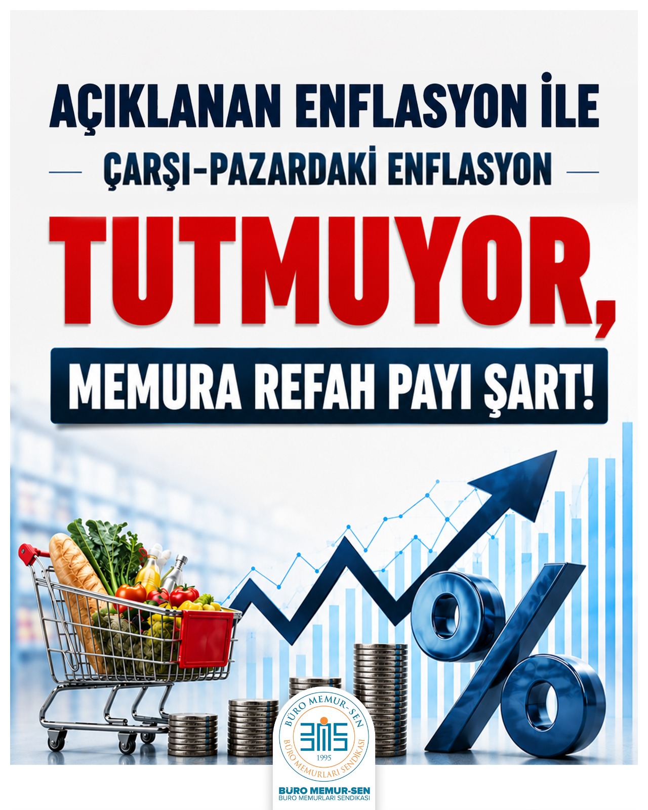 efnlasyon-carsi